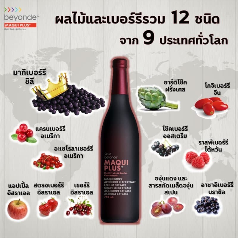 BEYONDE MAQUI PLUS Super Anti-Oxidant Multi Fruit and Berry (Duo Pack 750ml x2)