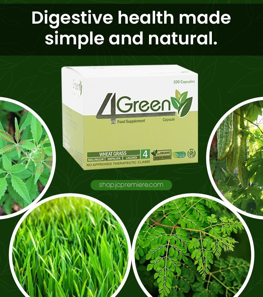 JC The power of 4 Green Supplement Box: 10 Blisters, Capsule: 500 mg
