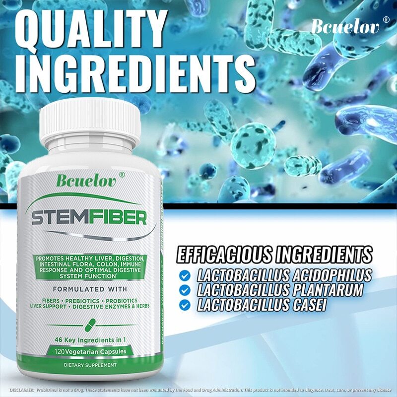 Boost Digestive Health With Fiber Probiotics Enzymes 120 Caps Veggie Capsules