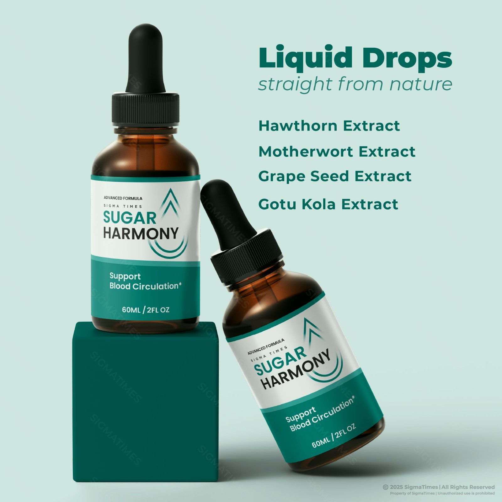 (2 Pack) Sugar Harmony Drops, Advanced Blood Health Support Formula