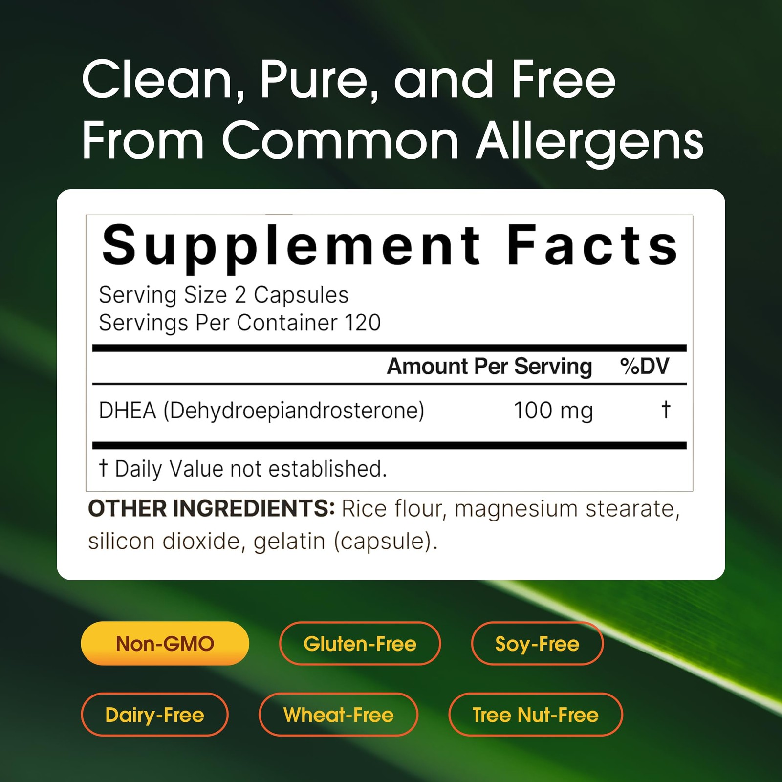 NatureBell DHEA 100mg – 240 Capsules – Supplement 240 Count (Pack of 1)