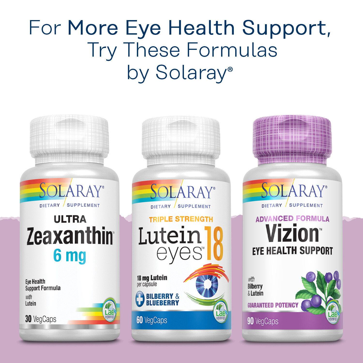Solaray Bilberry Berry Extract 160 mg with Blueberry Extract | 30 VegCaps