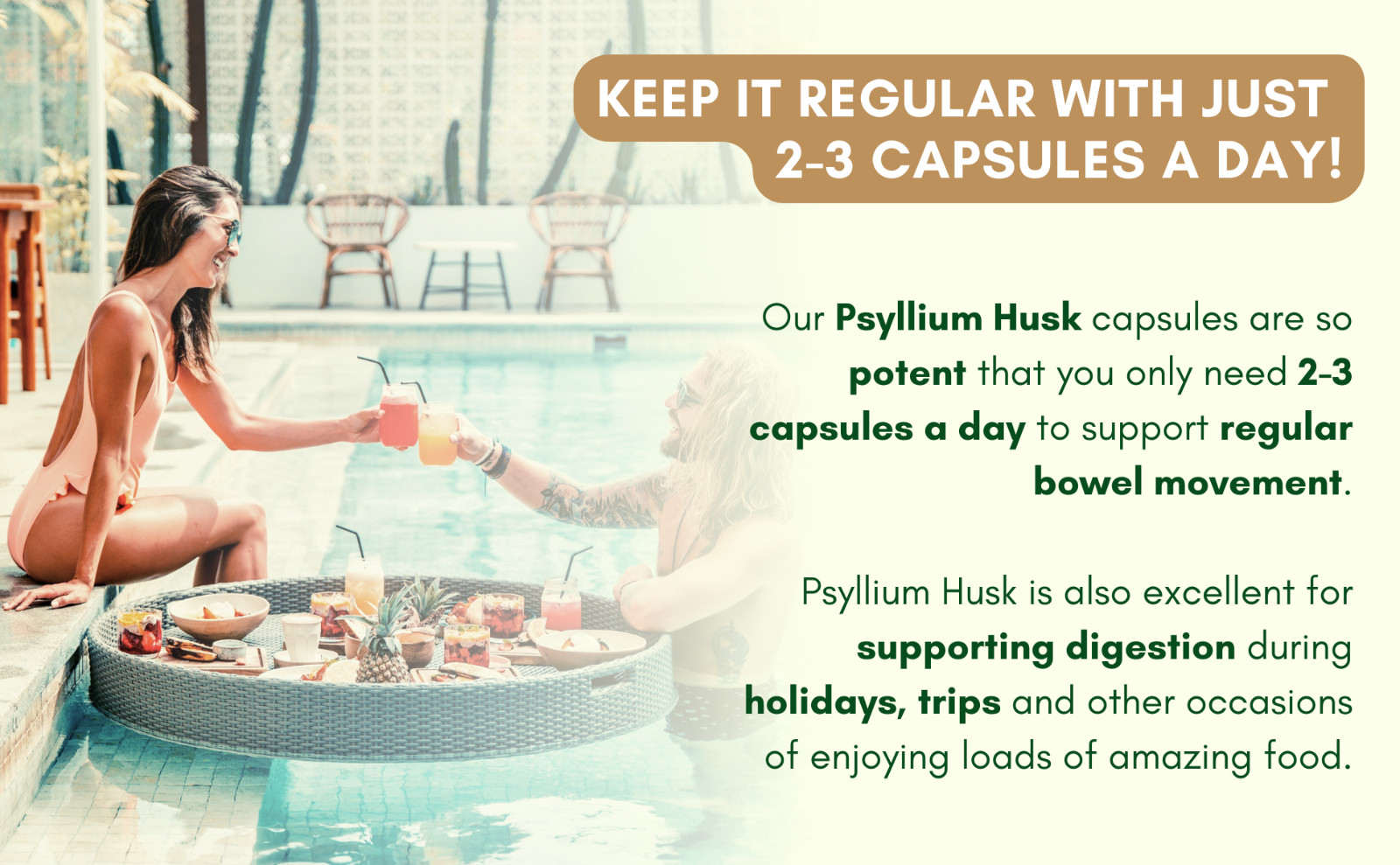 PSYLLIUM HUSK CAPSULES – 1450mg Per Serving – 240 Capsules – Premium Product