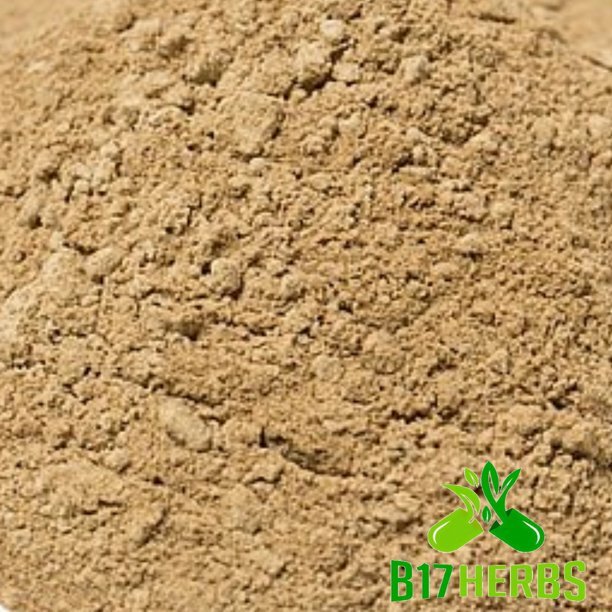 Lions Mane Mushroom Extract 4:1 Powder – Organic – Extra Strength – 100 grams
