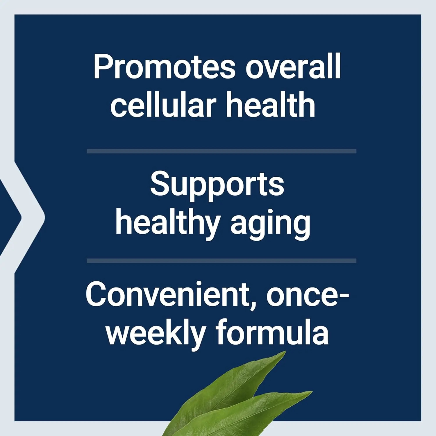 Life Extension Senolytic Activator, 24 Vegetarian Capsules