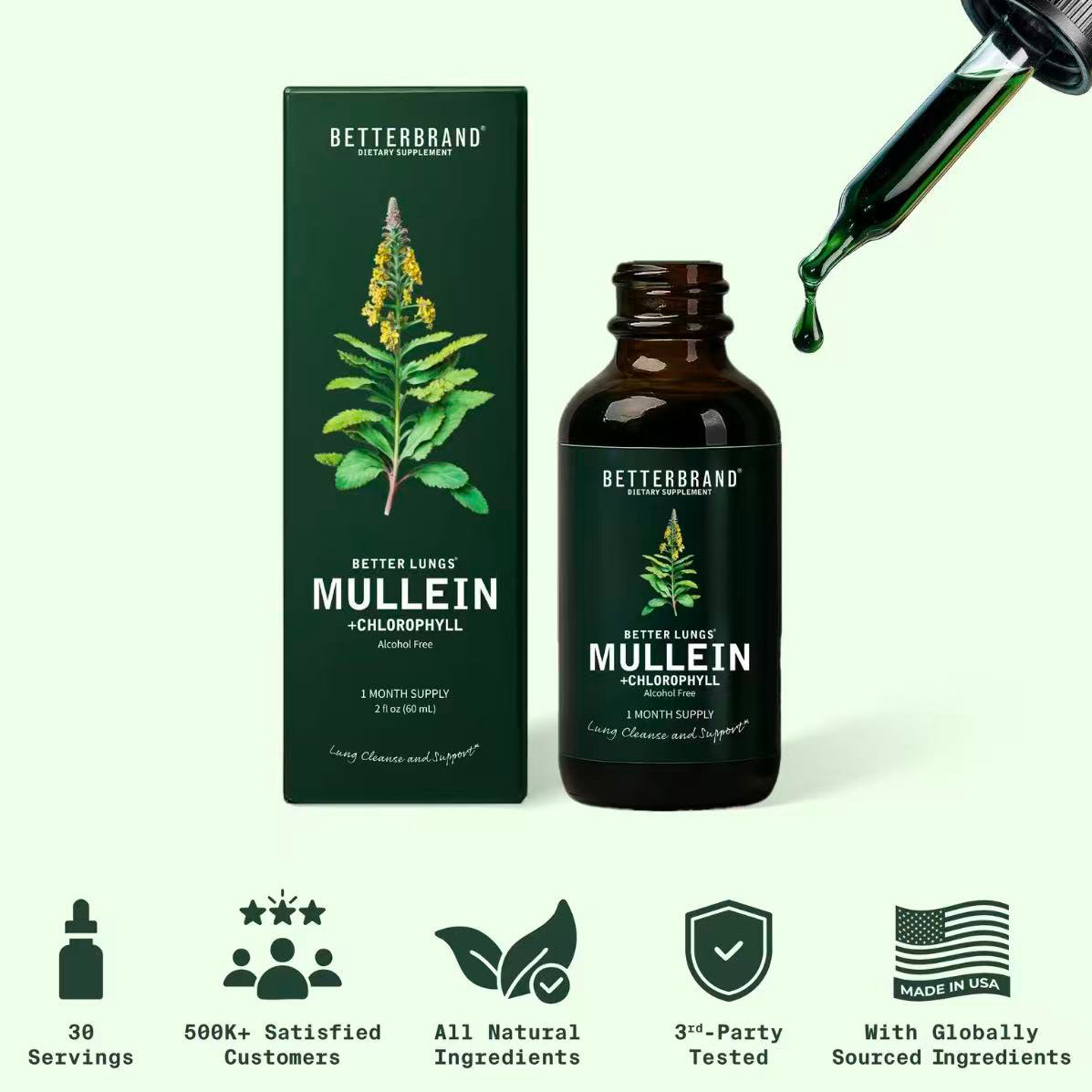 Drops Leaf & Chlorophyll Mullein for Lung Detox & Mucus Cleanse – 30 Servings