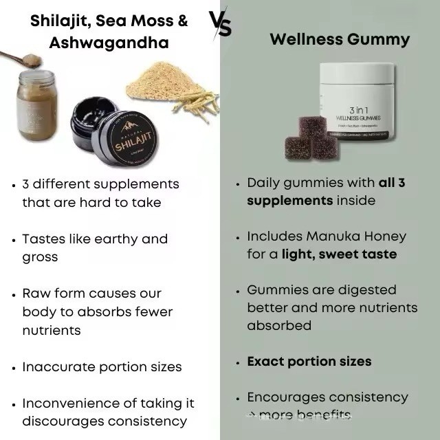 Solilan 3-in-1 Wellness Gummies Shilajit Sea Moss Ashwagandha 30 Count