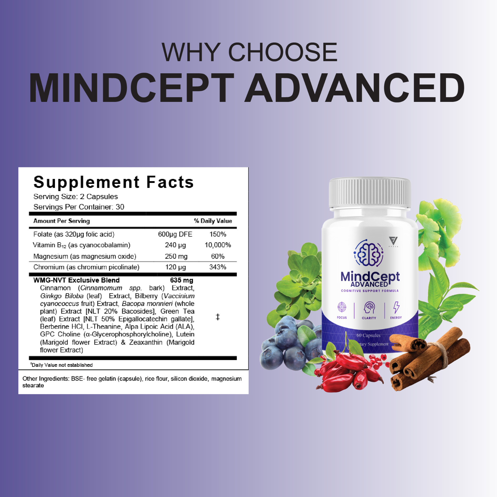 Mindcept Advanced Brain Formula, MindCept Supplement (60 Capsules)