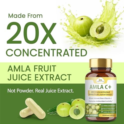 Amla Vitamin C Capsules 20X Concentrated Extract 120 Vegan