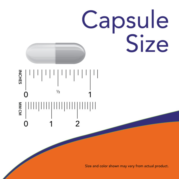 NOW FOODS L-Tryptophan 500 mg – 60 Veg Capsules Exp 04/25
