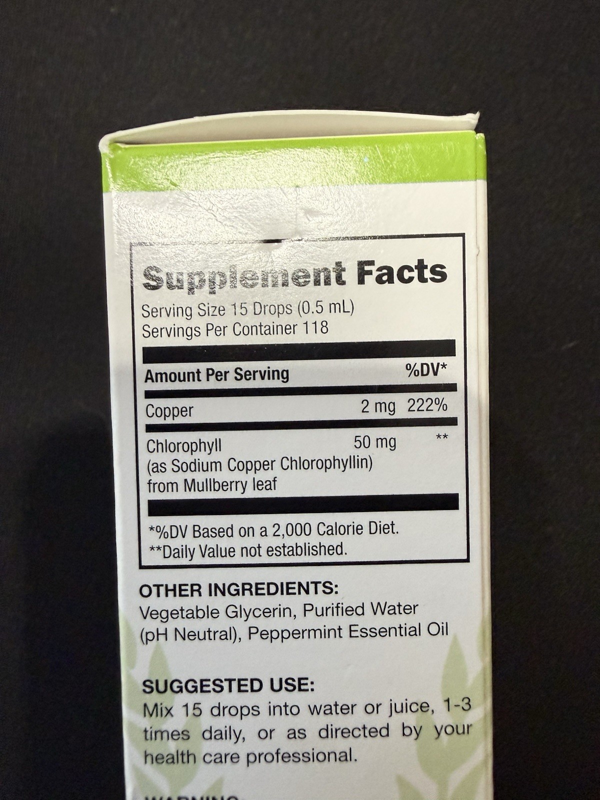 Benevolent Nourishment Liquid Chlorophyll Alcohol Free Gluten Free Peppermint 2…