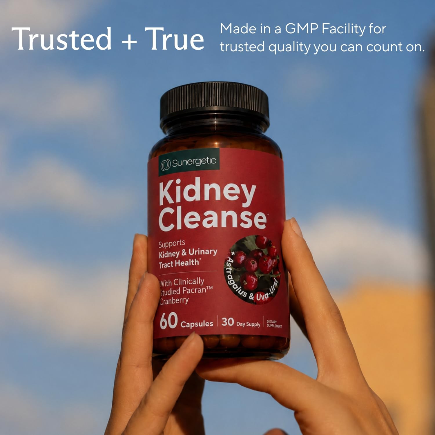Premium Kidney Cleanse Supplement – Powerful 60 Count (Pack of 1)