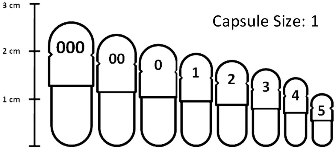 R-Garden Inner Garden Flora, 100 caps.