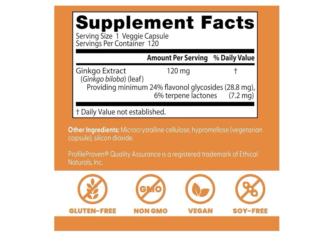 Doctor’s Best Ginkgo Biloba 120mg 120 Capsules Gluten-Free Non-GMO Vegan