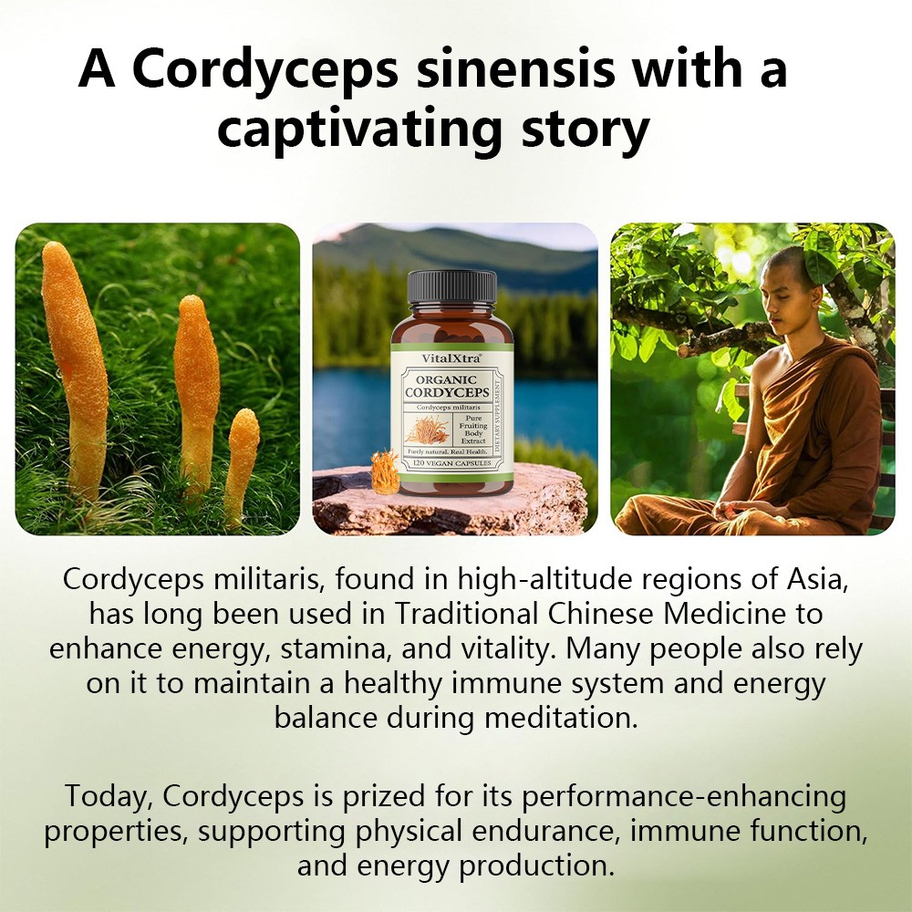 Organic Cordyceps Supplement, Boosts Immunity,Supports Digestive & Gut Health
