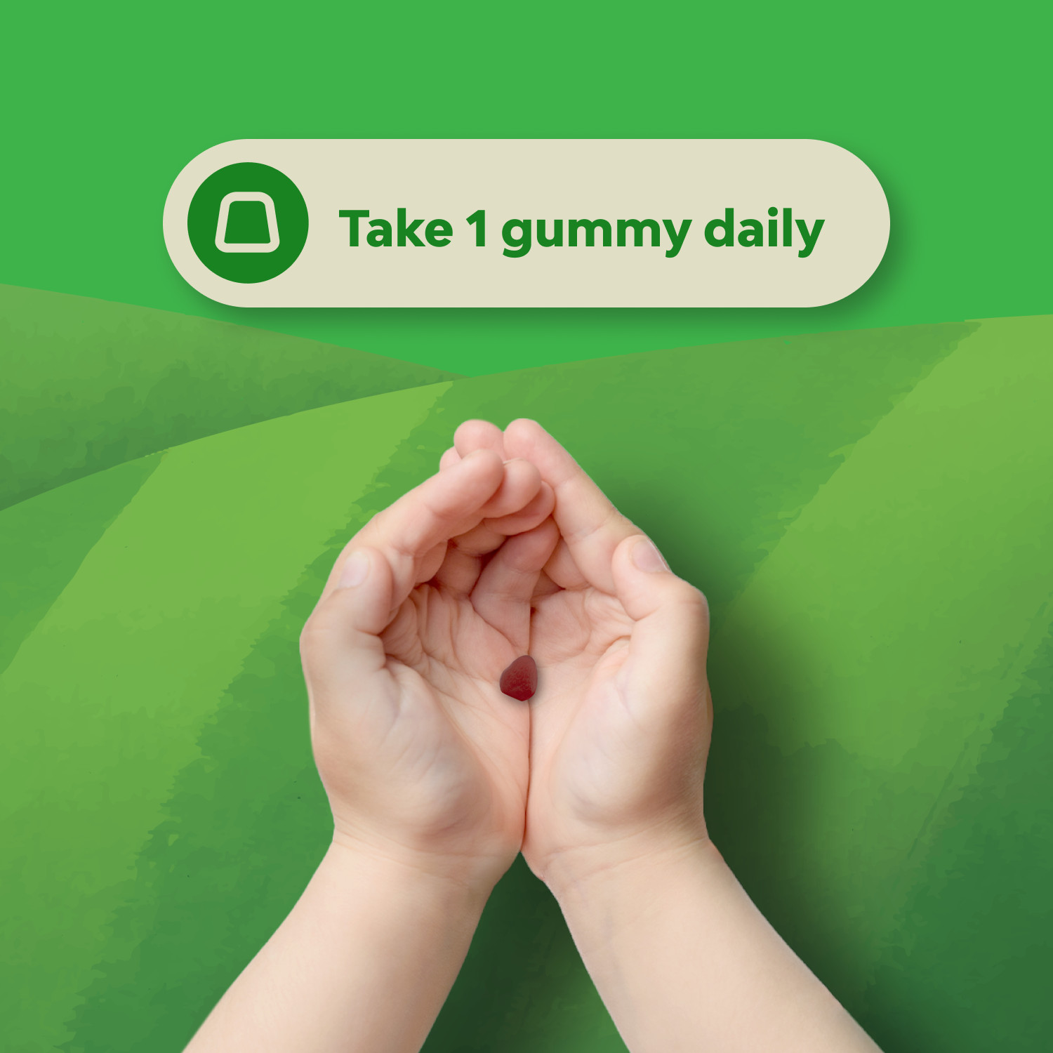 USDA Organic Probiotic Gummies for Kids Vegan Non-GMO Vitamin for Immunity 60ct