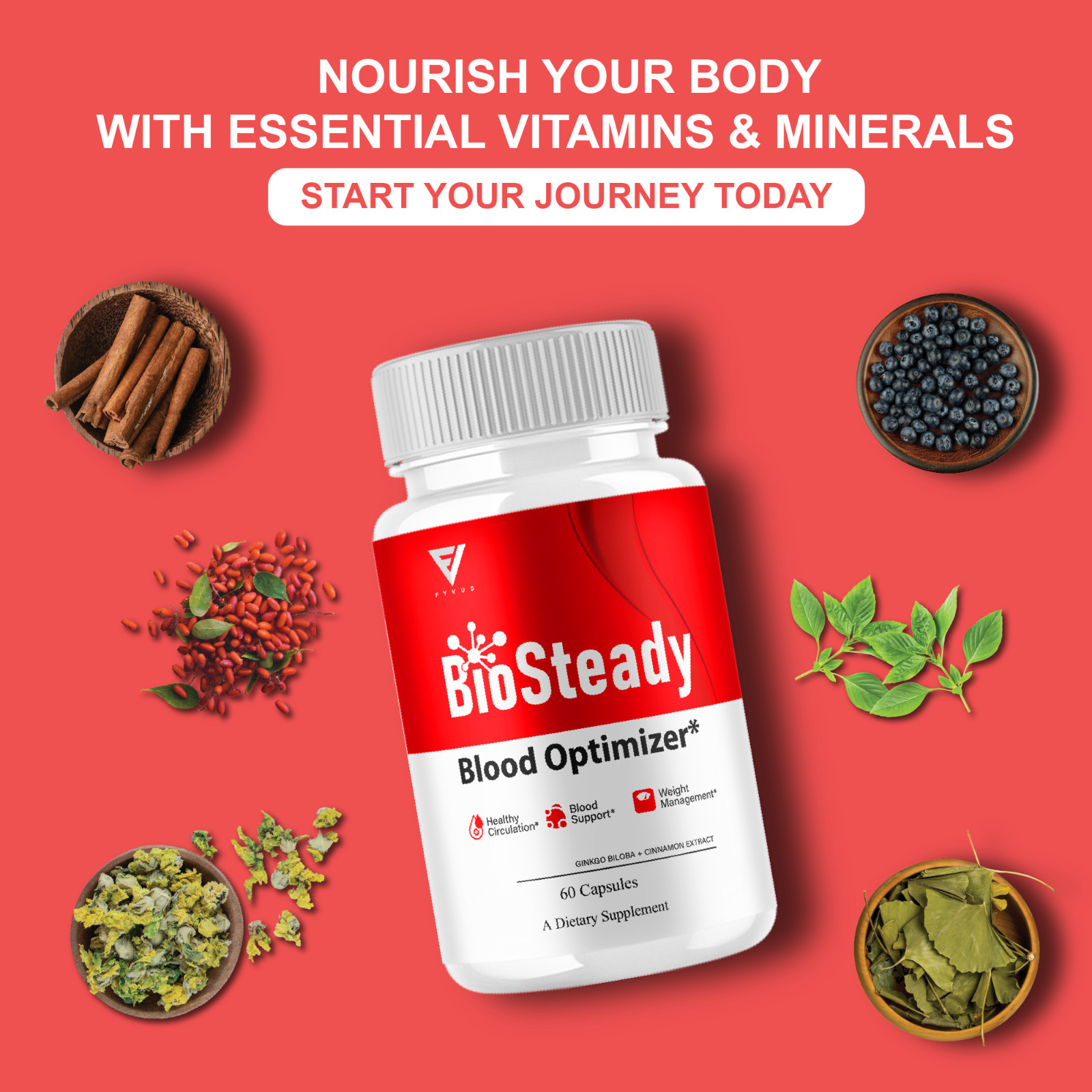 BioSteady Blood Optimizer, Bio Steady Advanced Formula (60 Capsules)