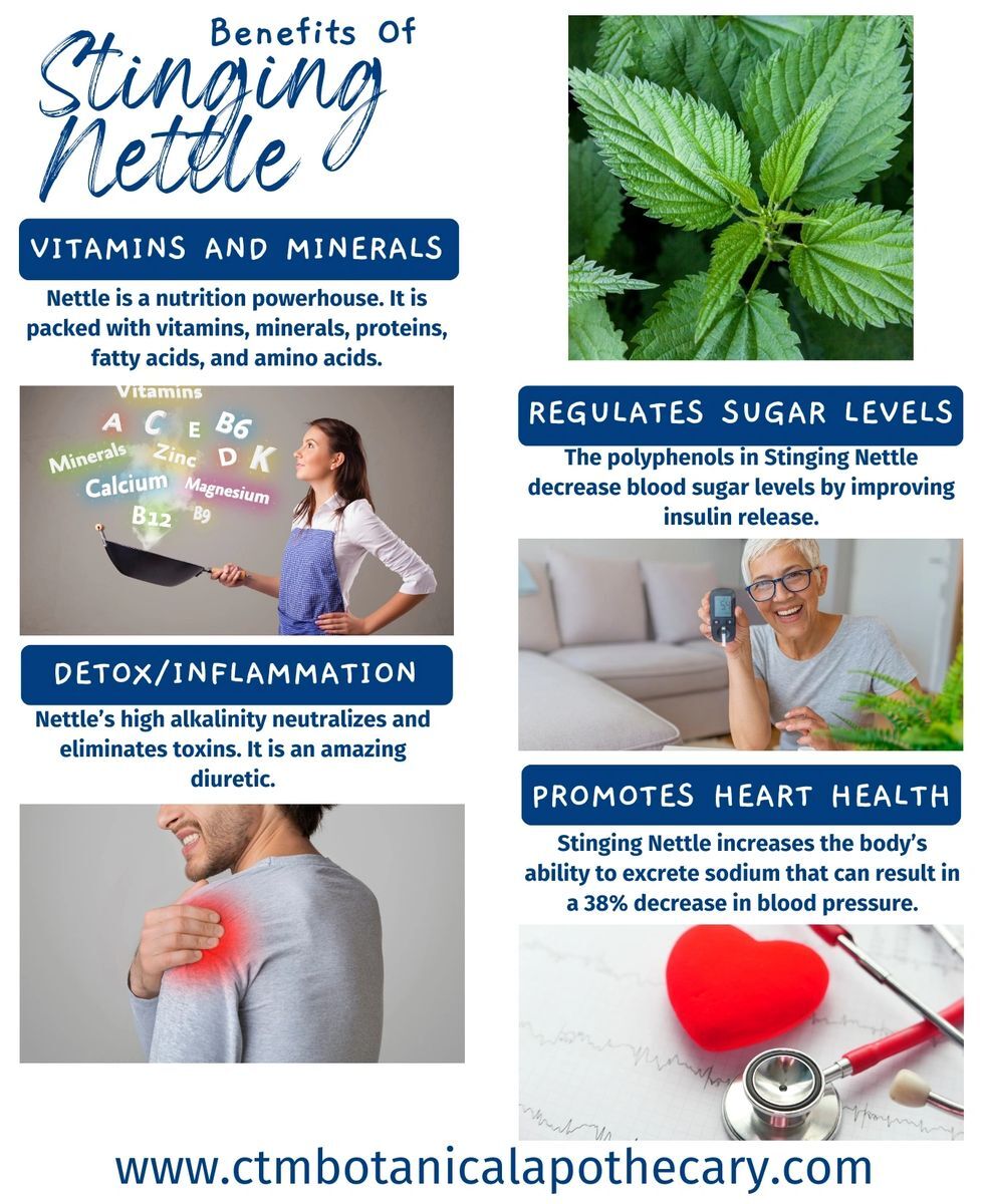 Stinging Nettle Powder