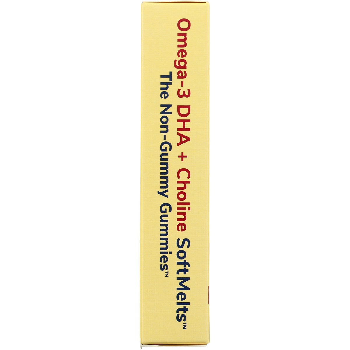 Childlife Essentials Omega-3 Dha Choline Softmelts Dietary Supplement 1 Pack