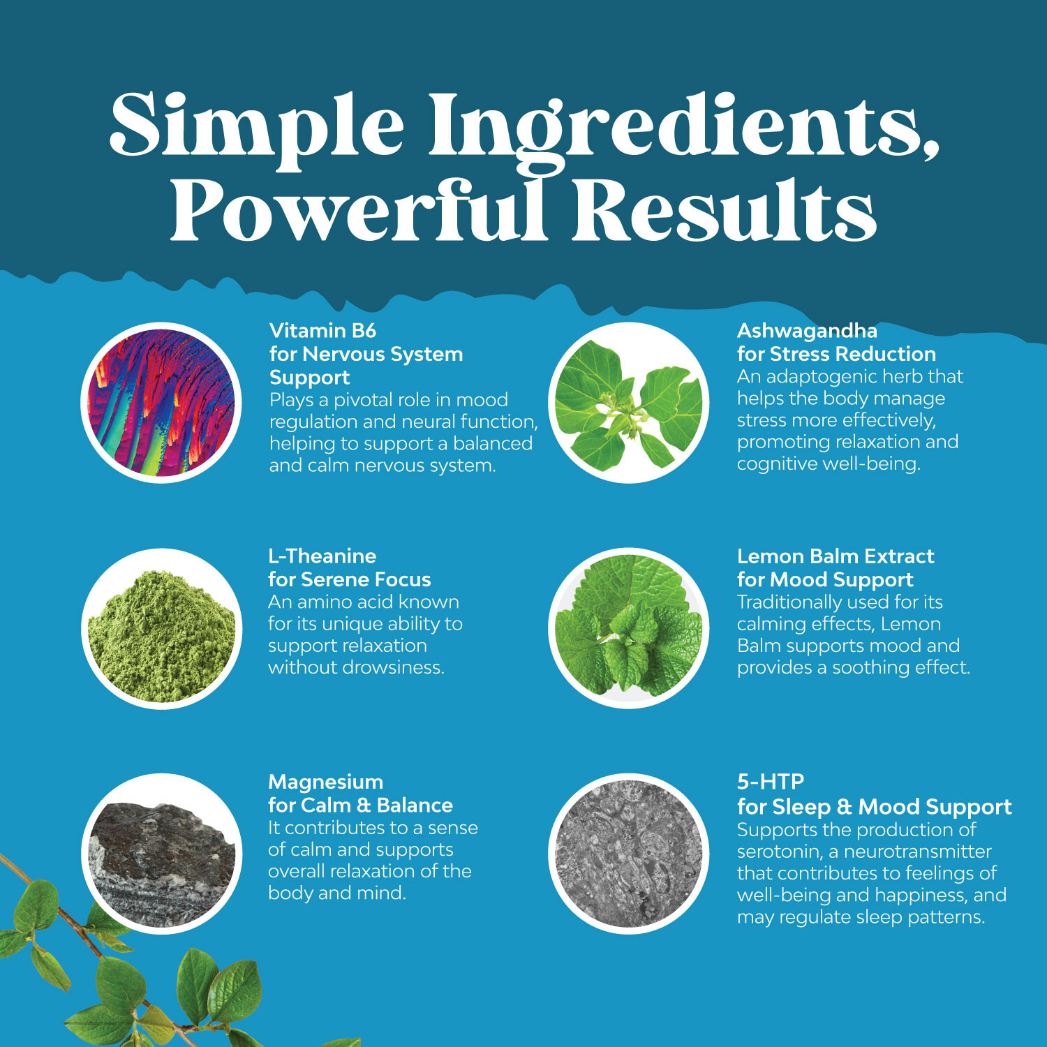 Calming Gummies for Adults with Ashwagandha and Magnesium – Relaxing Gummies