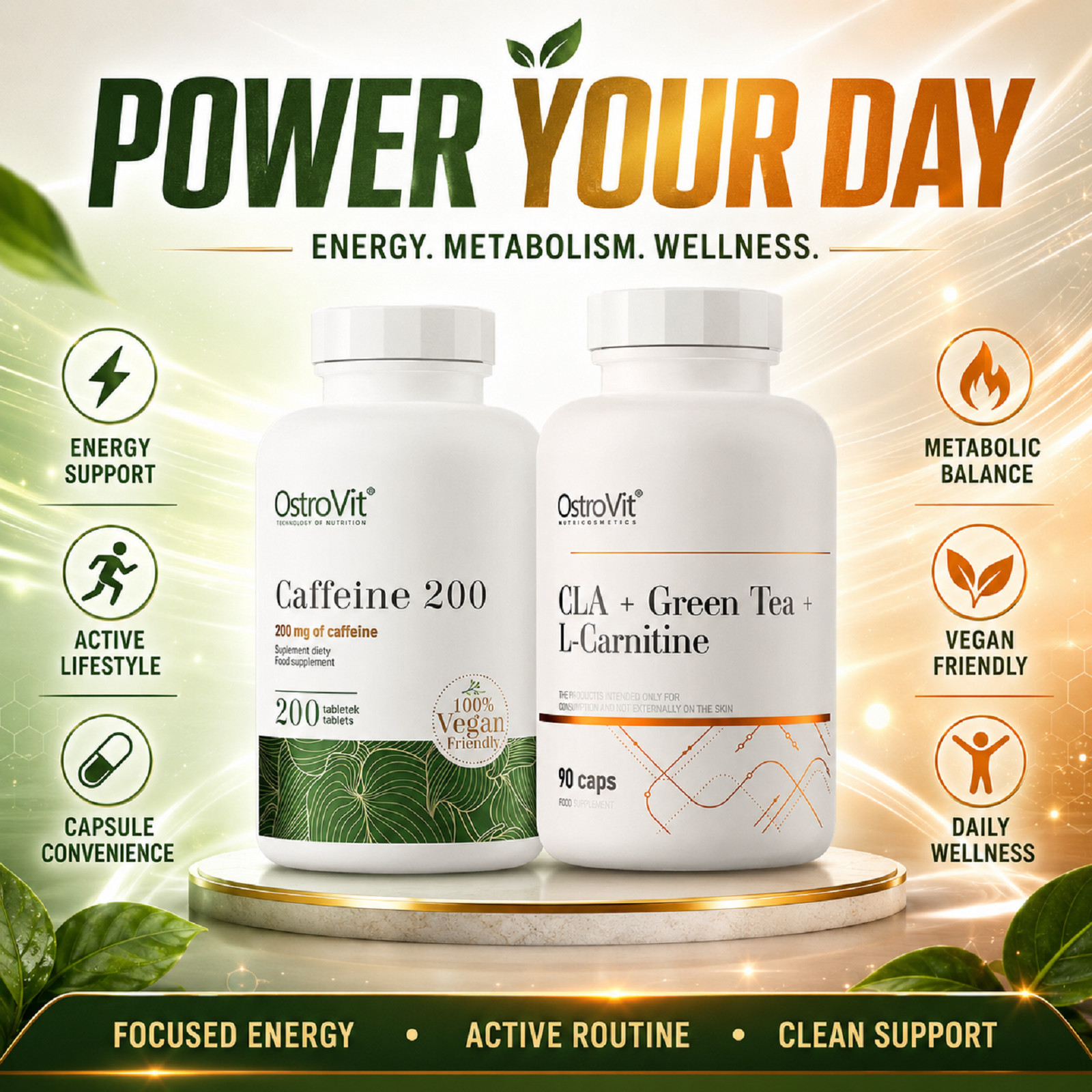 CAFFEINE + CLA + GREEN TEA + L-CARNITINE – Fat Reduction Weight Loss More Energy