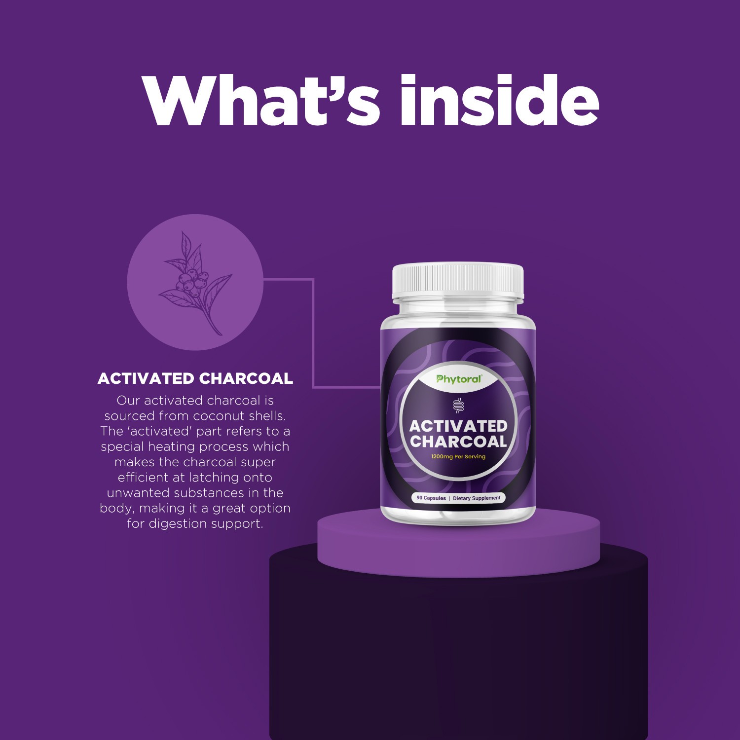 Extra Strength Activated Charcoal Pills – 1200mg Per Serving Activated Charcoal