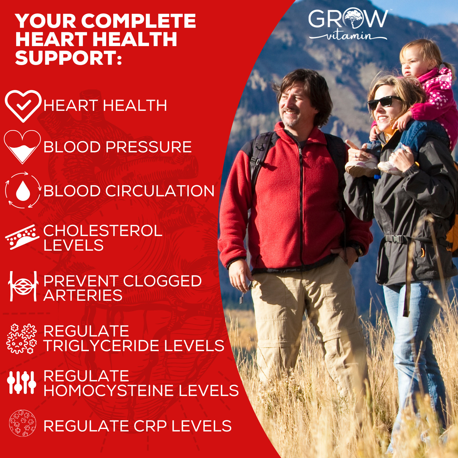 Heart Health Plus Supplement | Advanced 10 in 1 Formula | Cholesterol Health, 90