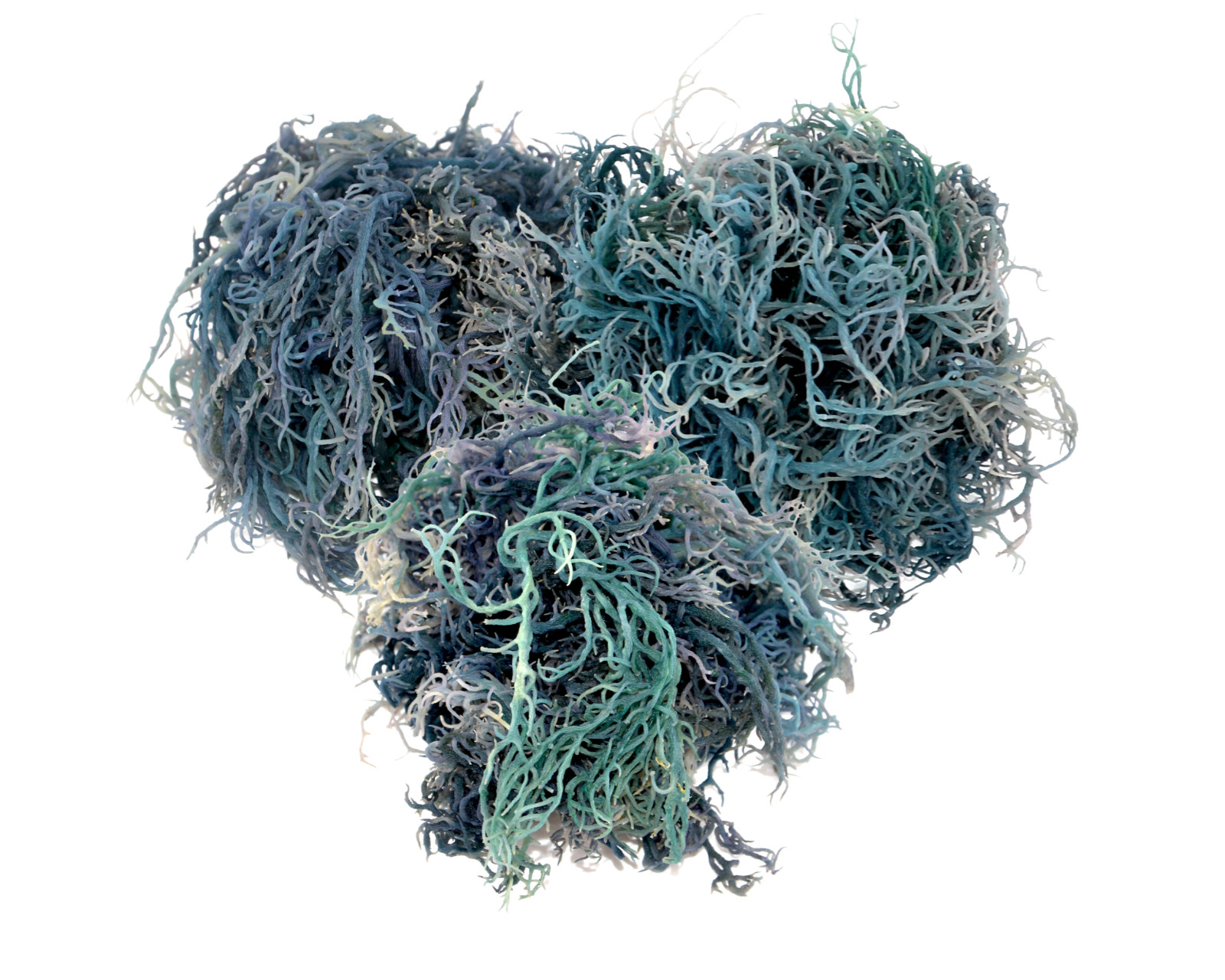 Green Sea Moss St Lucia / Dr Sebi Irish Moss Wildcrafted 100% Pure Raw