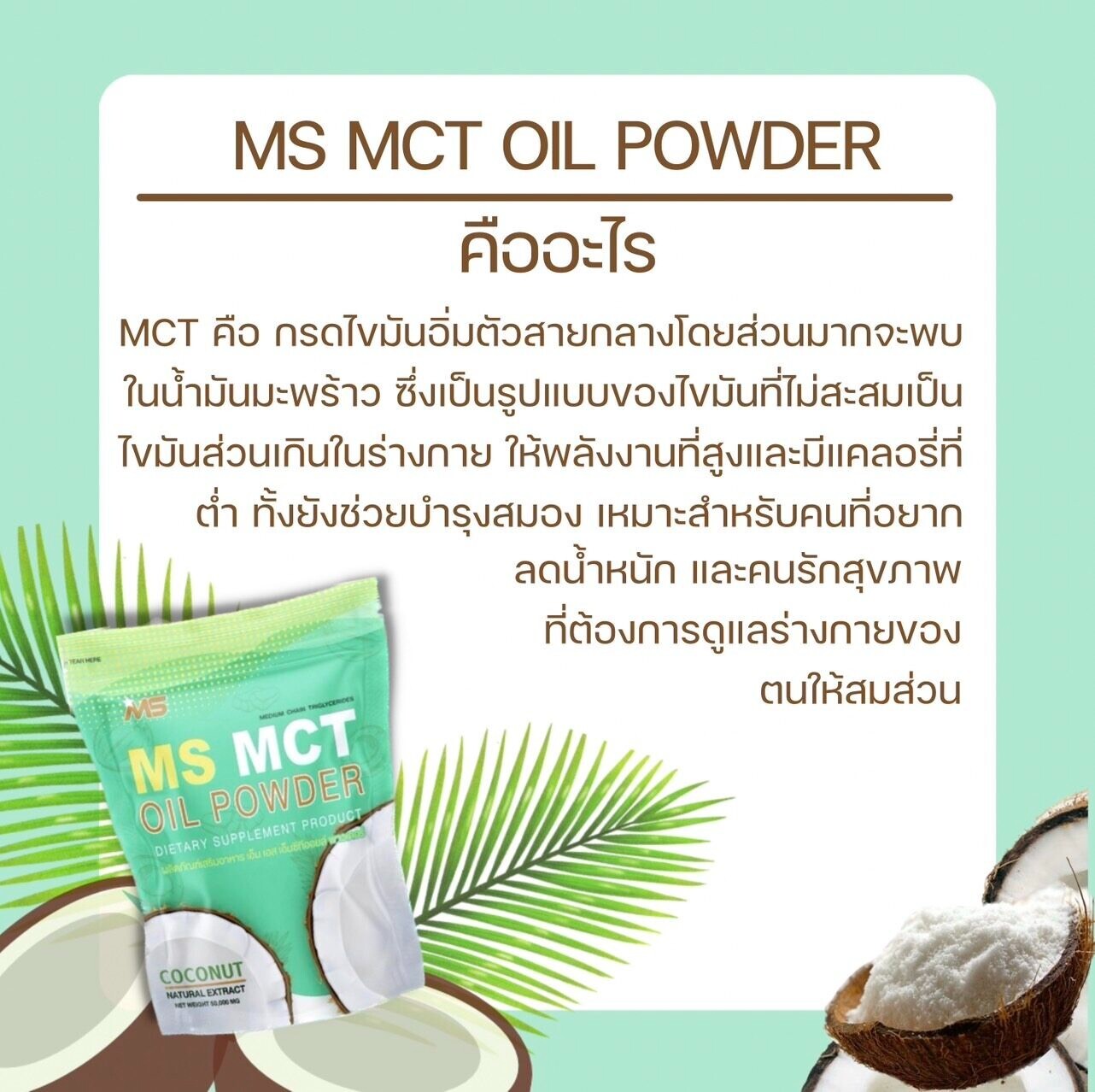 5x MS MCT OIL POWDER cold-pressed coconut oil accelerates metabolism reduces fat