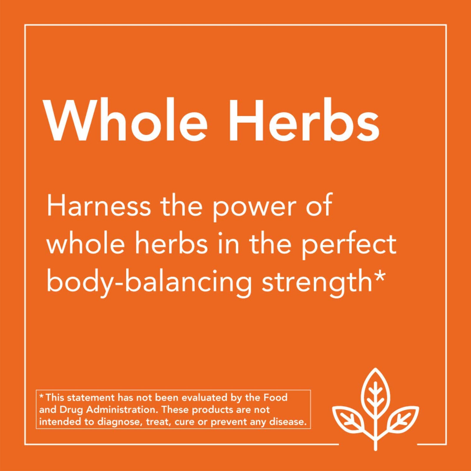 NOW FOODS Astragalus 500 mg 100 Veg Capsules