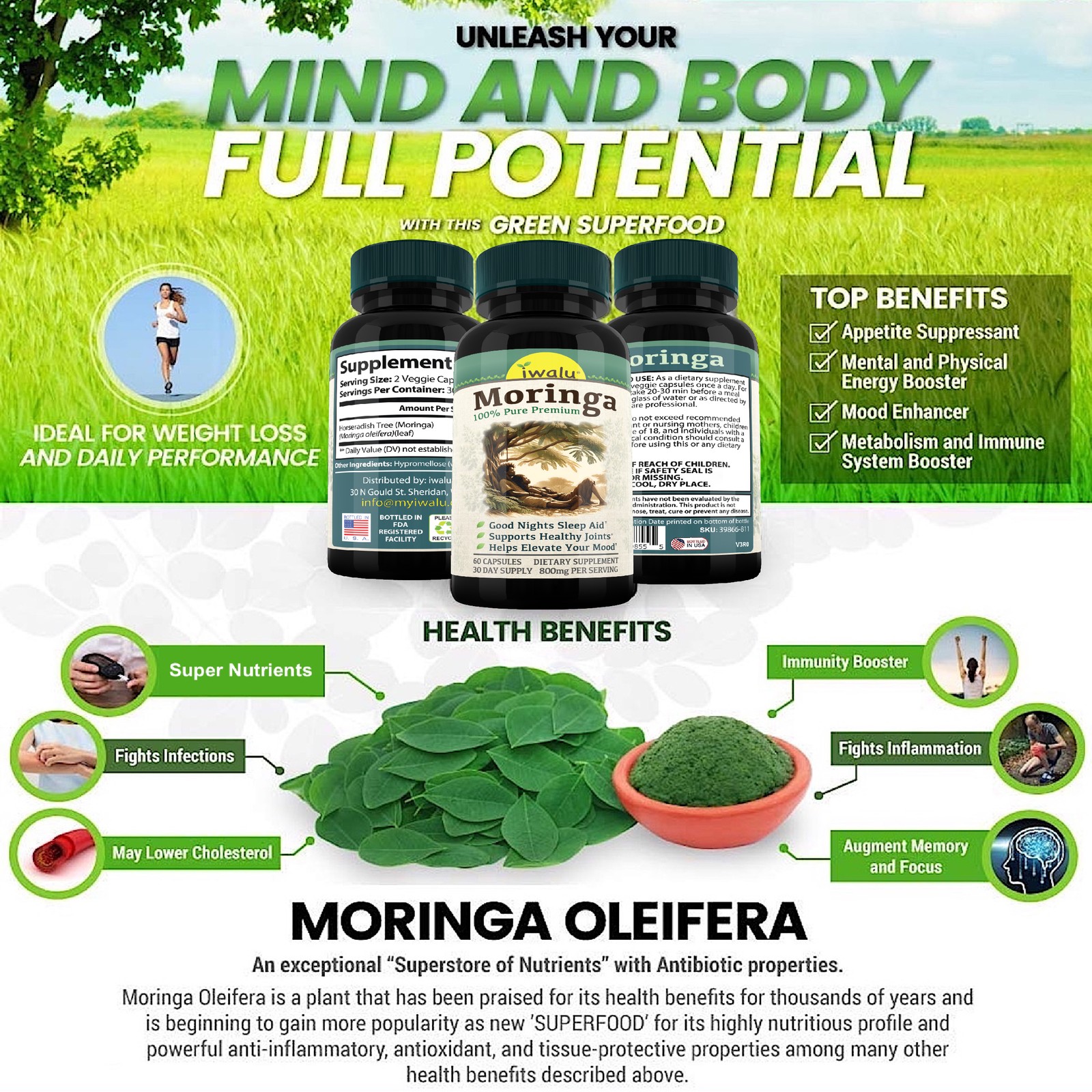 Suplementos Para La Presión Arterial – Mantén Tu Corazón Saludable, Moringa
