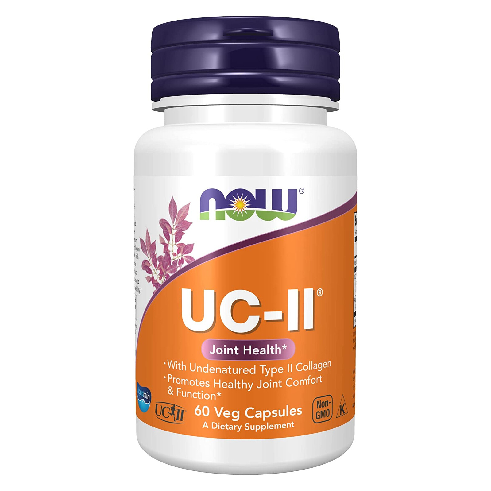 NOW FOODS UC-II Type II Collagen – 60 Veg Capsules