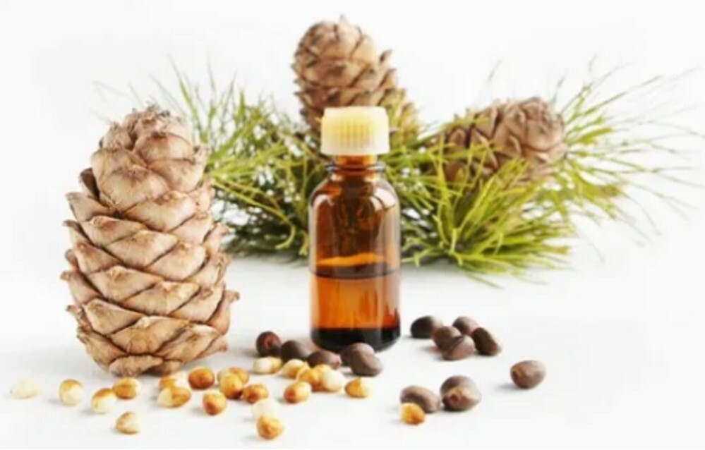 Cedarwood Essential Oil | 1floz to 4floz | 100% Pure Natural Hand Crafted