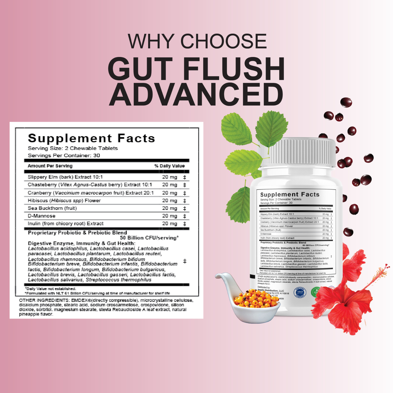 (5 Pack) Gut Flush Premium Probiotic Supplement, GutFlush Pills (300 Capsules)