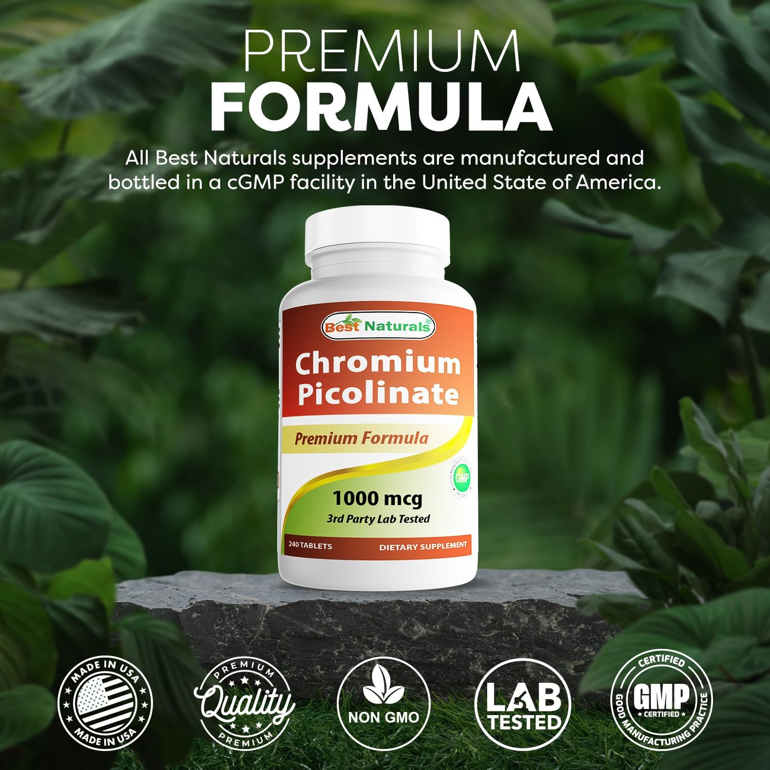 Best Naturals Chromium Picolinate 1000 mcg 240 Count (Pack of 1), No Color