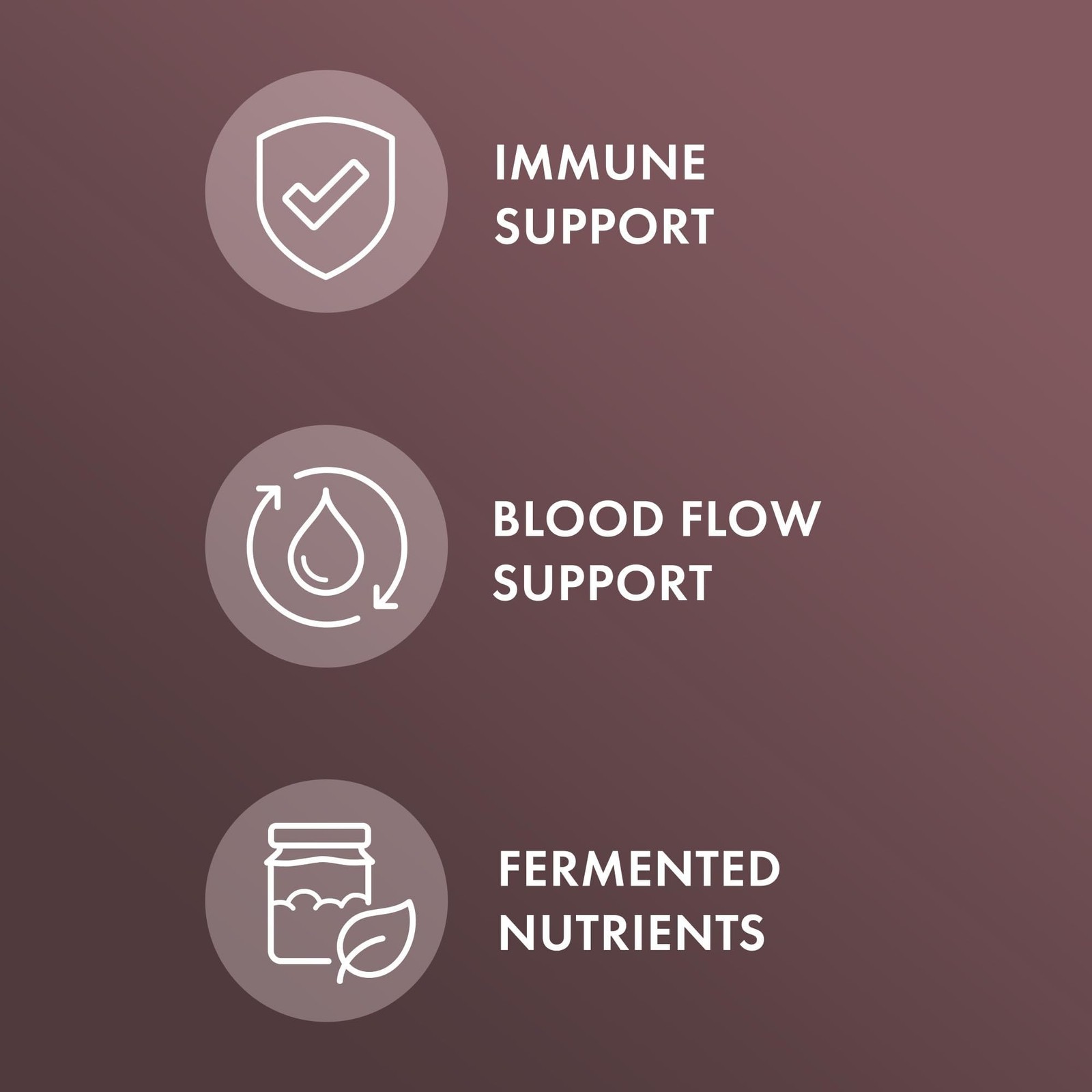Dr. Mercola Fermented Black Garlic – Antioxidant 60 Count (Pack of 1)