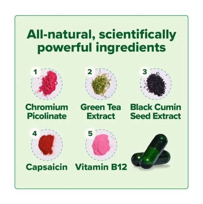 MOTO Capsule for Metabolism Support with Green Tea Extract and Vitamin B12