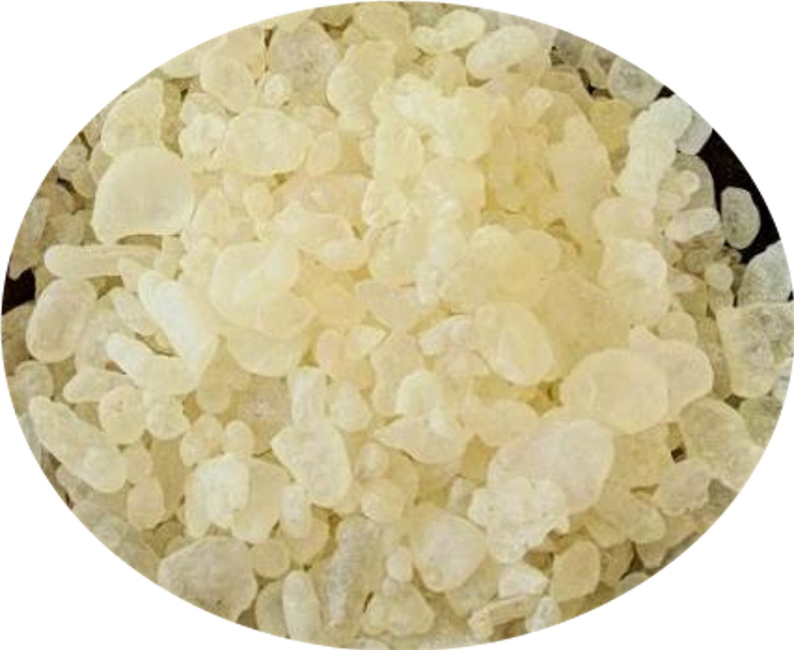Chios Mastiha Mastic Chewing Gum Large Tears Stomach Ulcer – 20 gr – 04-2026 NEW