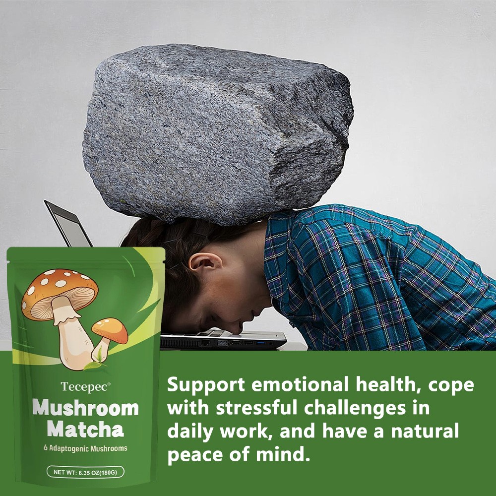 Mushroom Matcha Powder | Blend with 6 Mushrooms | 6.35 Oz (180g)
