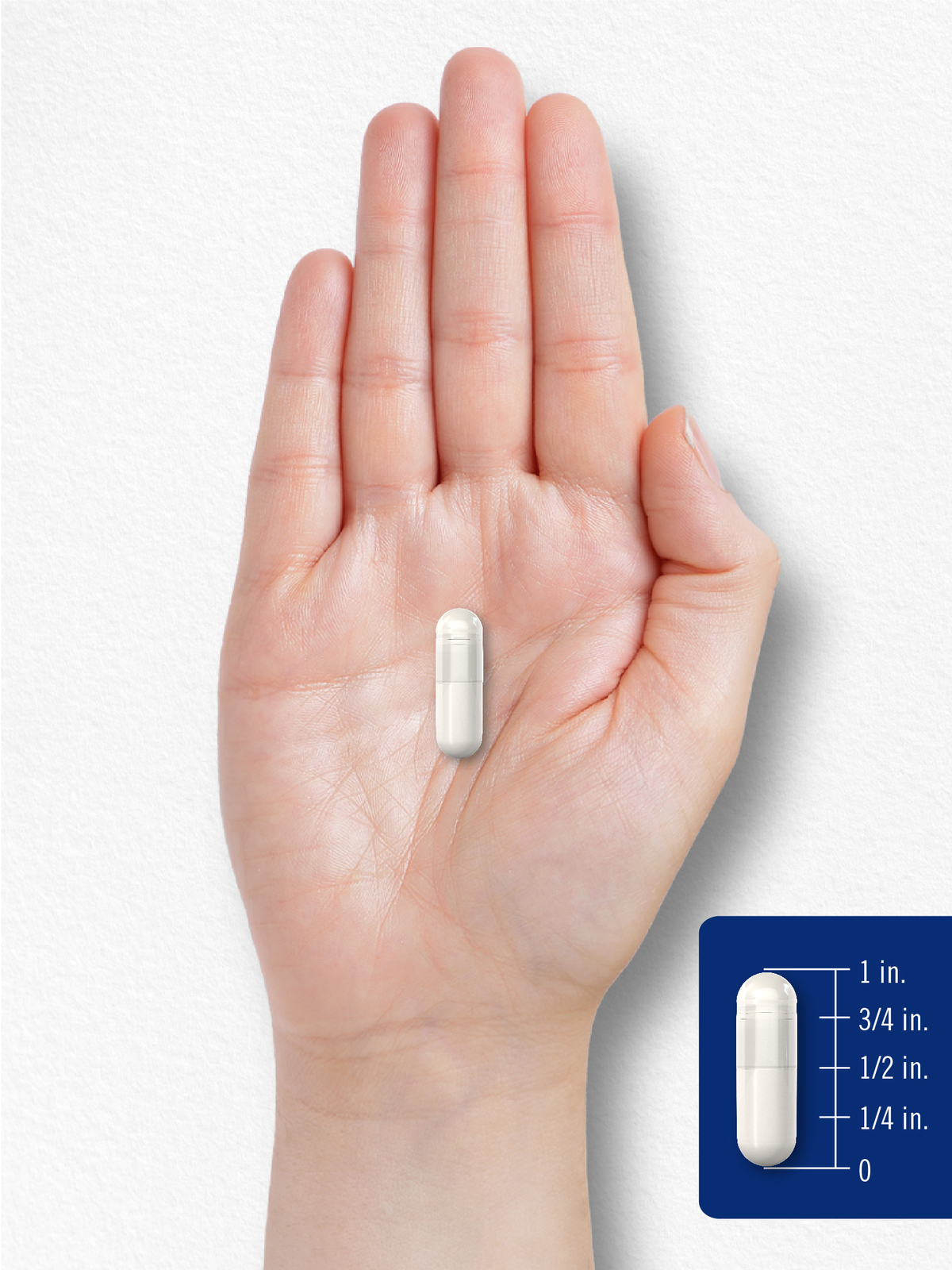 D-Ribose Capsules 3200mg | 180 Count | Vegetarian, Non-GMO | by Carlyle