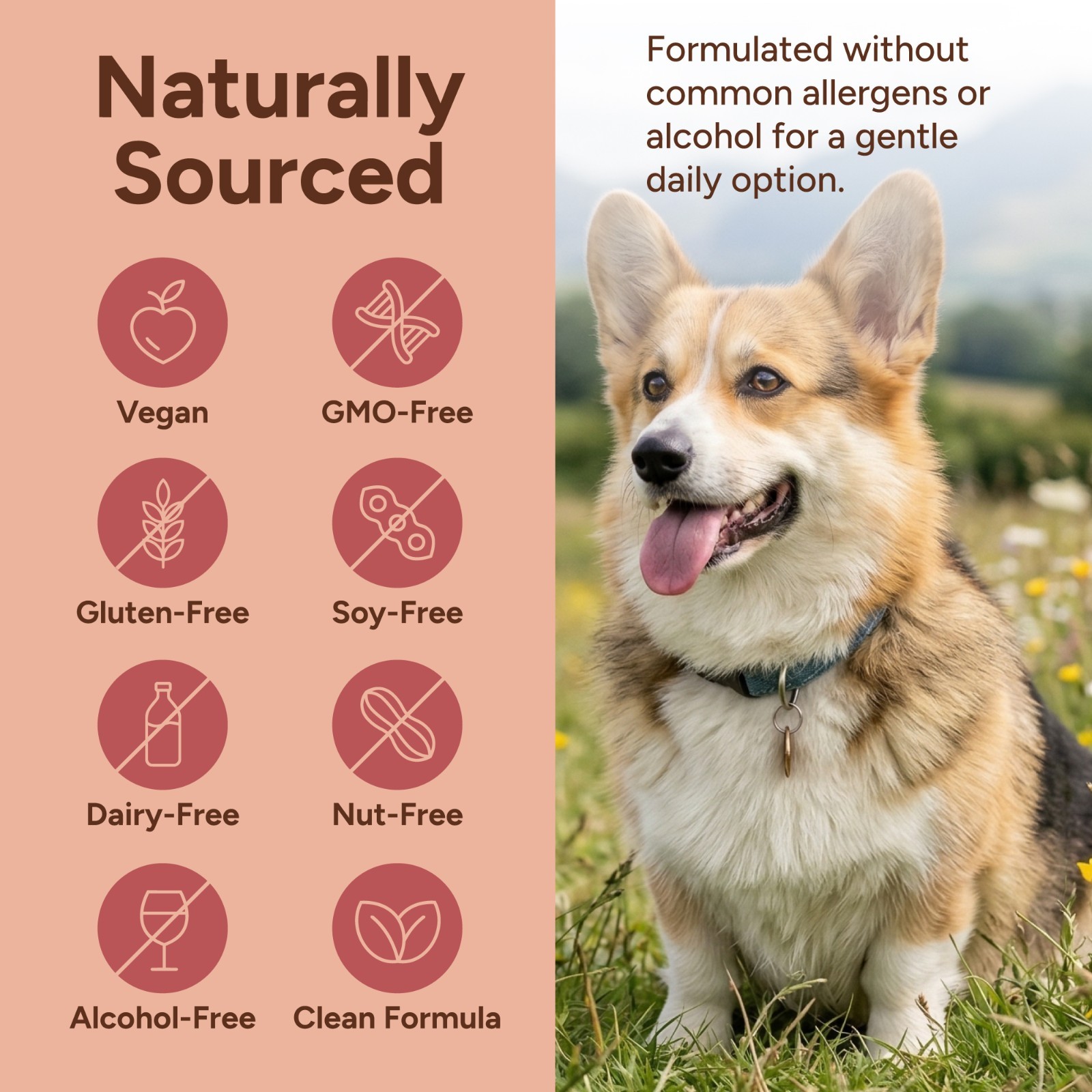 Aussie Pure Blushwood Berry EBC-46 Pet Therapy Maximum Strength Tincture
