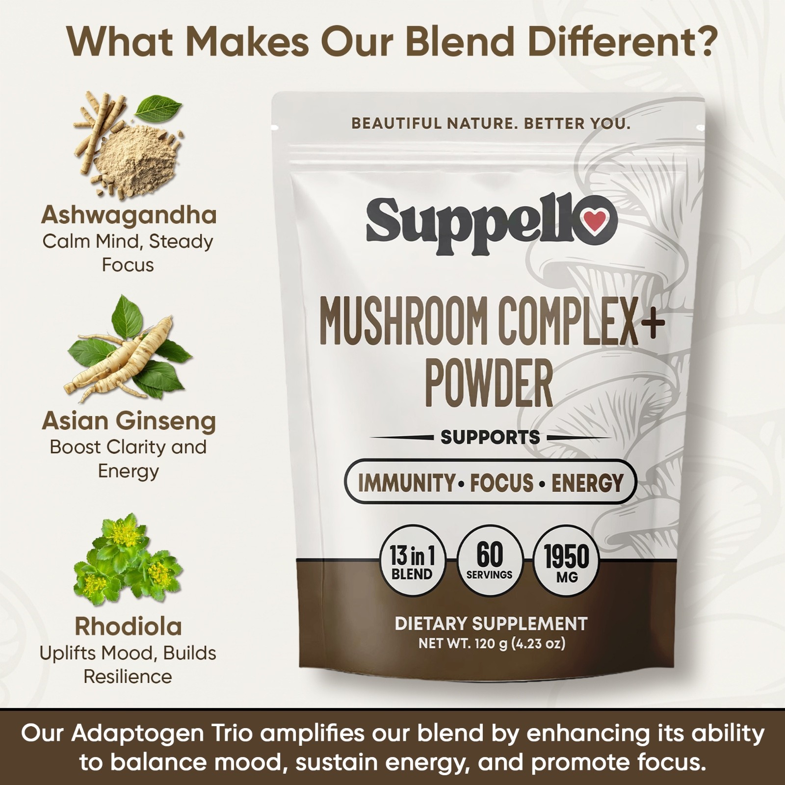 Suppello Mushroom Complex+ Powder – 13 In 1 Blend – 4.23 oz (60 Servings)