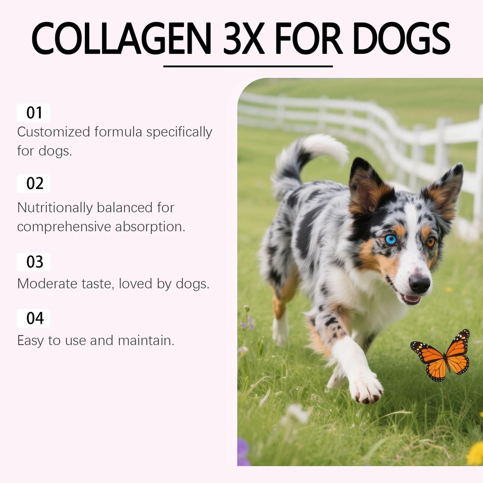 Bloom Liquid Collagen for Dogs, 3 varieties Collagen , Healthy Joint, Coat & Gu