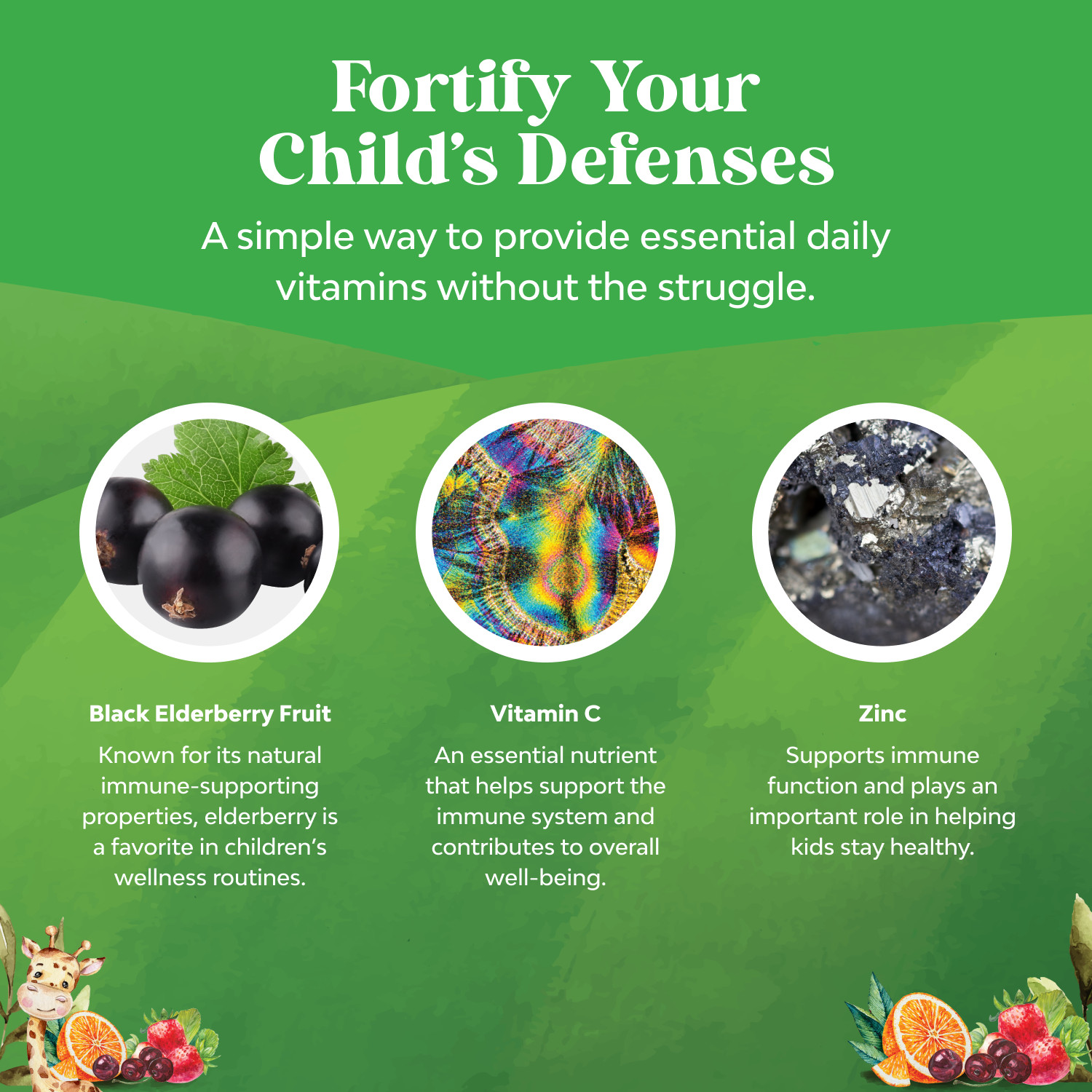 Sambucus Elderberry Gummies for Kids Health – Delicious Black Elderberry Gummies