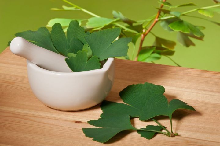 antioxidant supplement – Ginkgo Biloba 120mg – 1 Bottle – antioxidant herbs