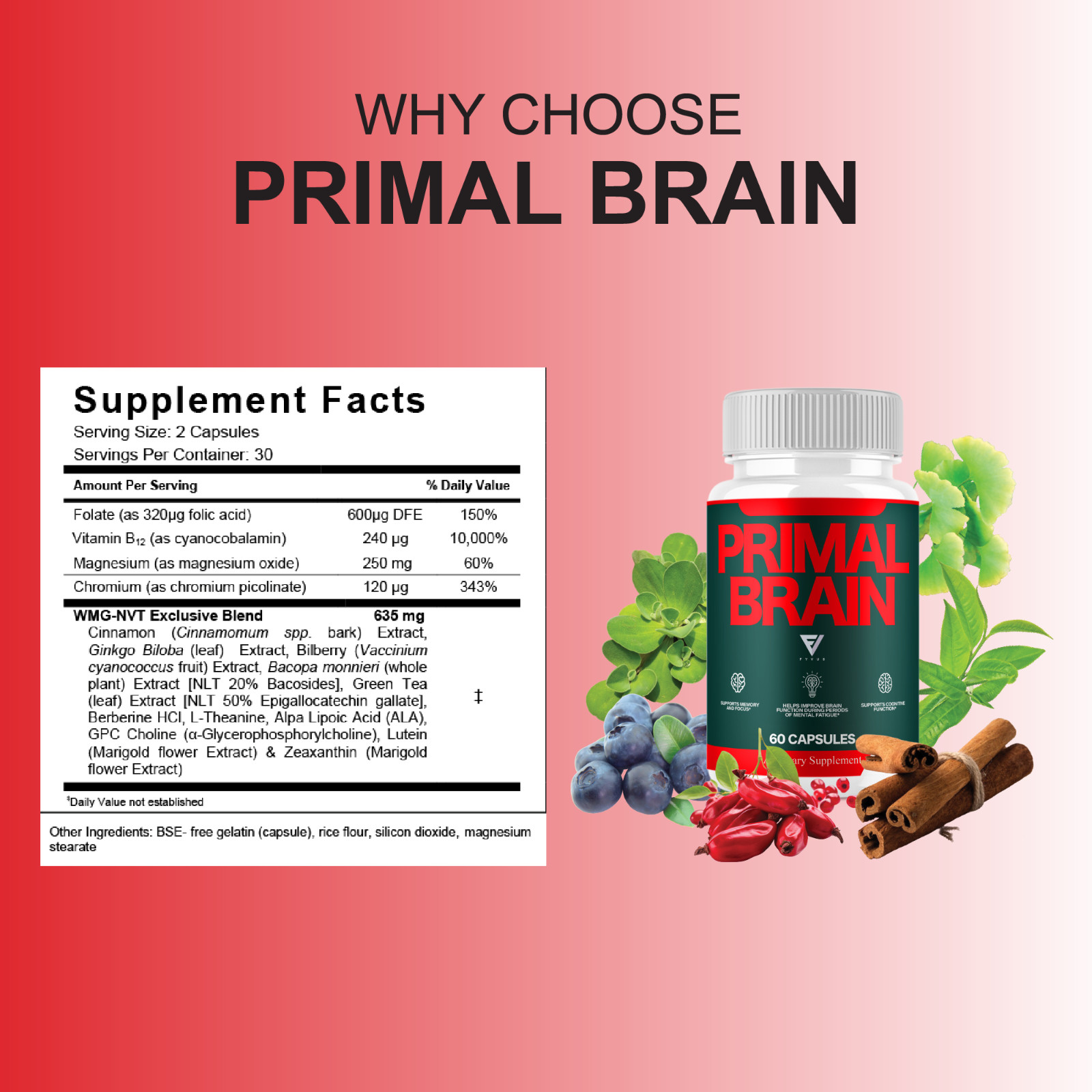 Primal Brain Supplement, Primal Brain Nootropic Pills (60 Capsules)