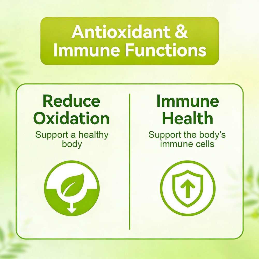 Oil of Oregano with Black Seed Oil – Immune Support Supplement 30/60/120 Caps