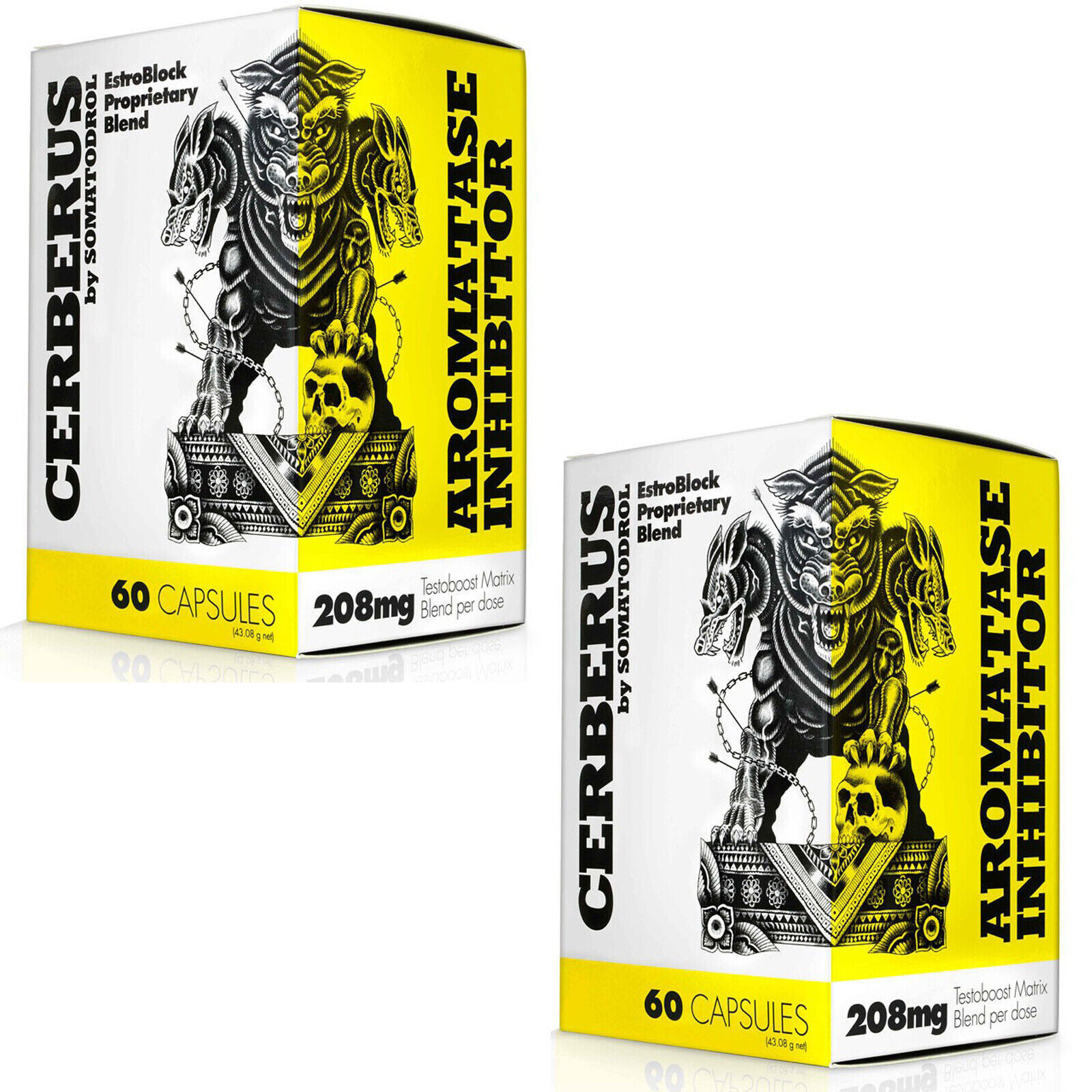 CERBERUS – 60 Capsules – Natural testosterone booster muscle strength recovery