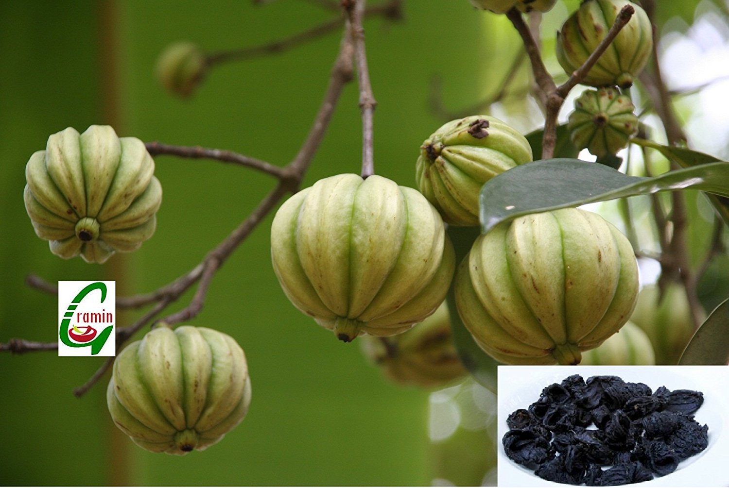 Metabolism pills for weight loss – RASPBERRY KETONES – GARCINIA CAMBOGIA COMBO