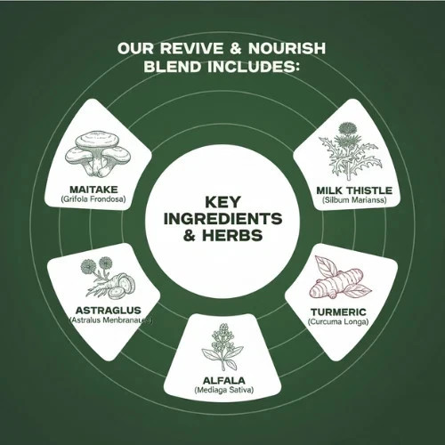 Revive & Nourish Mushrooms Herbs Blend Liquid Extract Maitake 1, 2 & 3 Packs